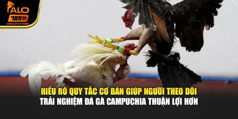 Hiểu rõ quy tắc cơ bản giúp người theo dõi trải nghiệm đá gà Campuchia thuận lợi hơn
