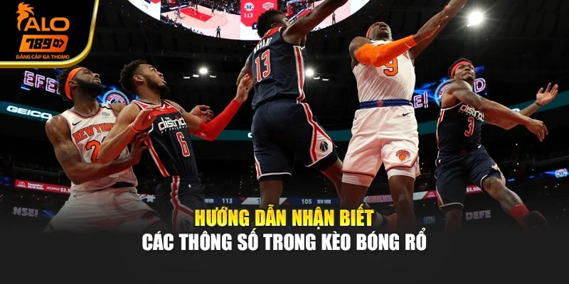 Hướng dẫn nhận biết các thông số trong kèo bóng rổ