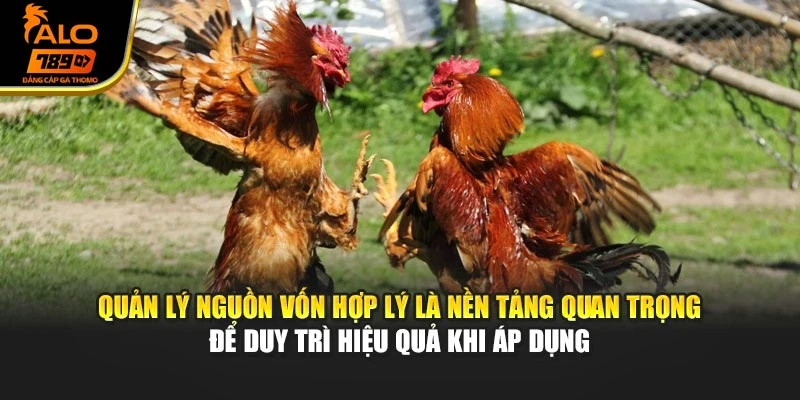 Quản lý nguồn vốn hợp lý là nền tảng quan trọng để duy trì hiệu quả khi áp dụng