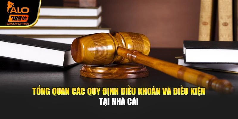 Tổng quan các quy định điều khoản và điều kiện tại nhà cái